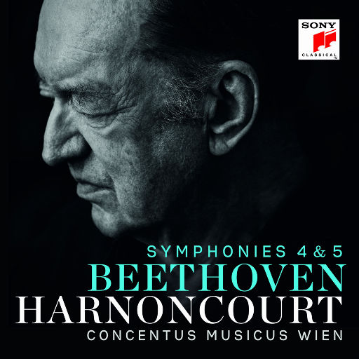 欧美成人毛片在线网
